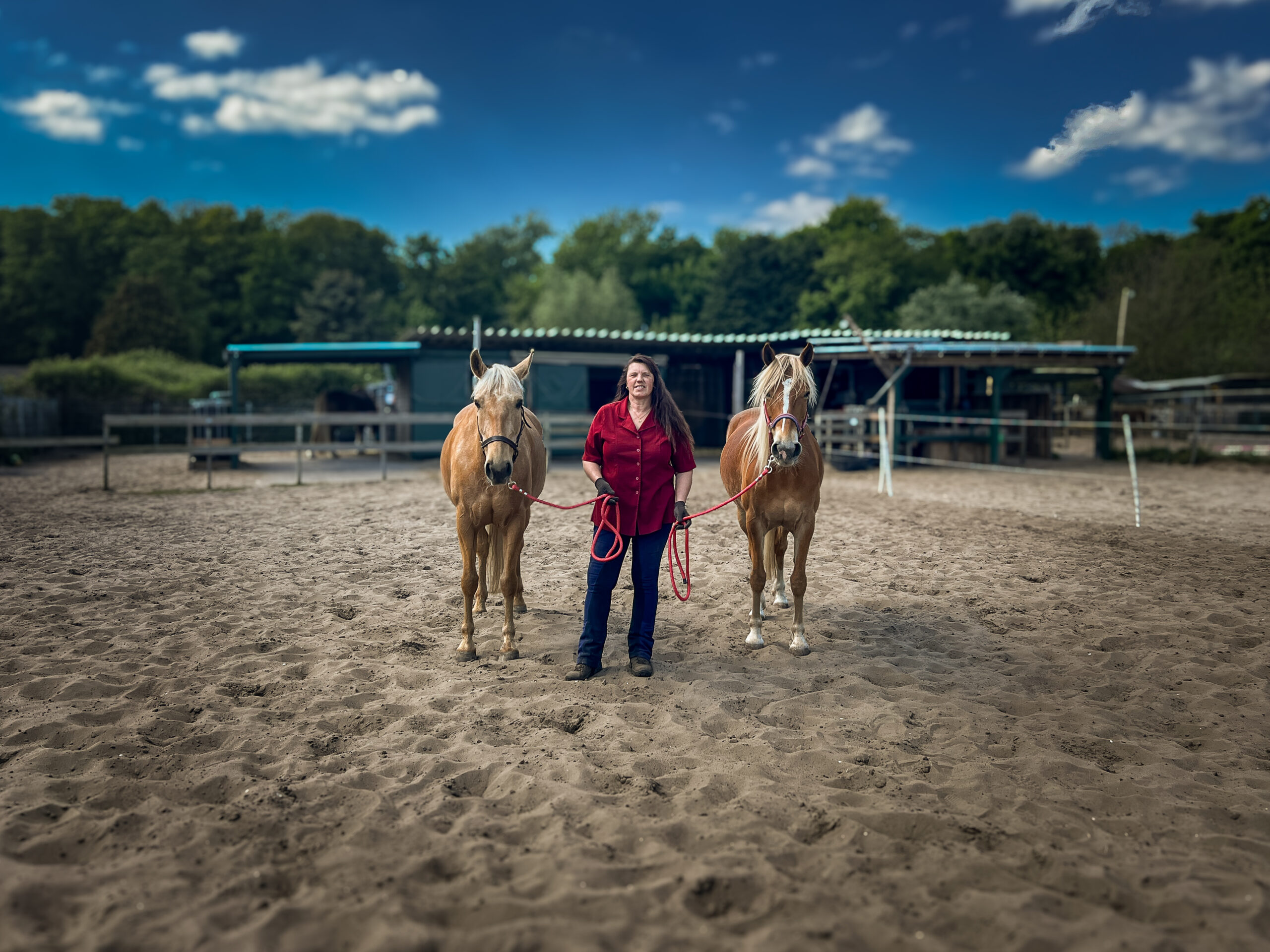 Foto van paardencoach Carla met haar paarden op stal LC Ranch, hier geeft zij paardencoaching.