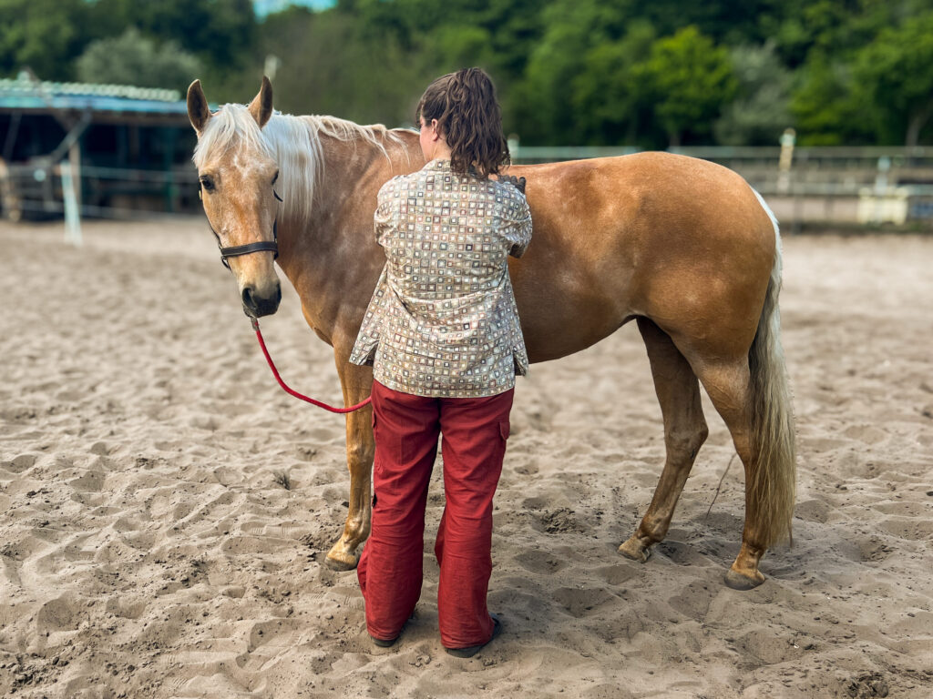 Foto van een paardencoaching sessie. Coachee heeft de handen op de hals van het paard Bruja.